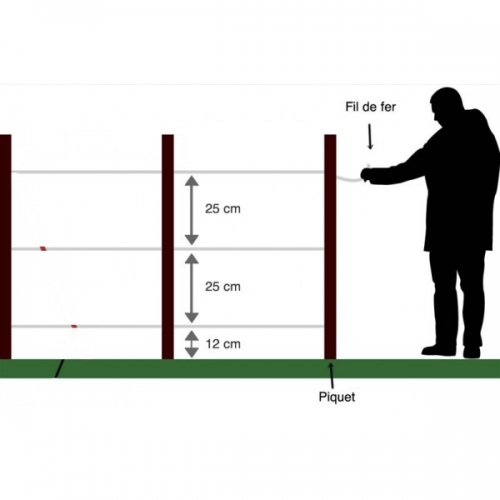 Brande de bruyère épaisse