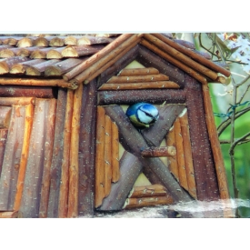 Cabane pour oiseaux 2