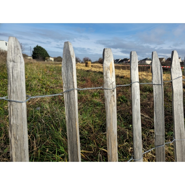 Ganivelle en écart de 8 cm Ganivelle en écart de 8 cm