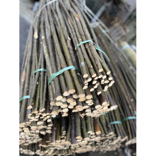 gaulette châtaignier / branche de châtaignier