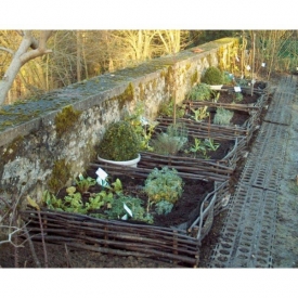 Plessis en châtaignier 2