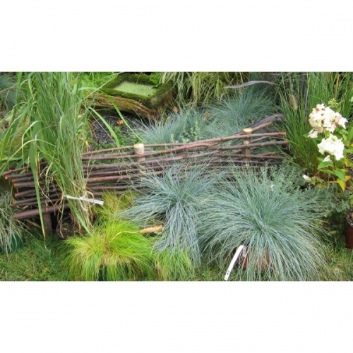 Plessis en châtaignier