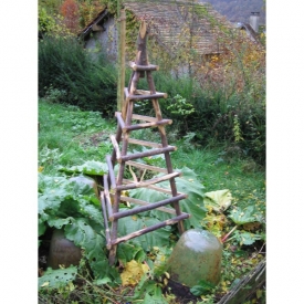 Pyramide pour plante grimpante
