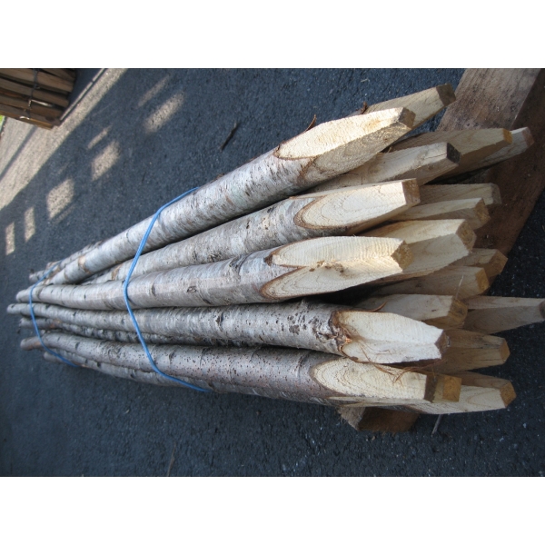 Tuteurs non écorcés diamètre 2-3 cm en châtaignier