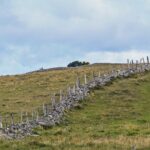 terrain avec un mur et une clôture