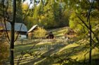 Une propriété entourée d'une clôture
