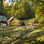 Une propriété entourée d'une clôture