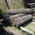 Tuteurs non écorcés diamètre 3-5 cm en châtaignier