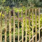 Ganivelle en écart de 6 cm