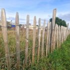 Ganivelle en écart de 8 cm