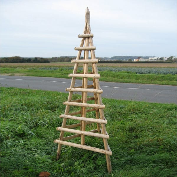 Pyramide écorcée pour plante grimpante