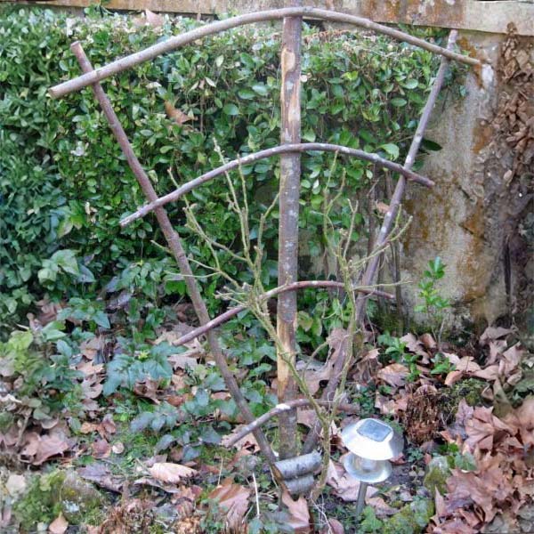 Eventail pour plante grimpante