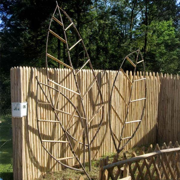 Feuille pour plante grimpante