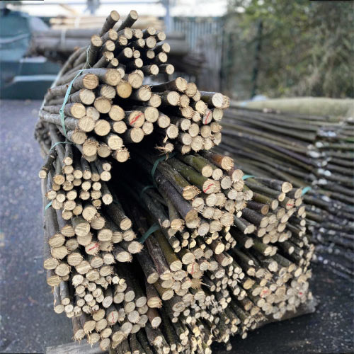 Gaulette châtaignier