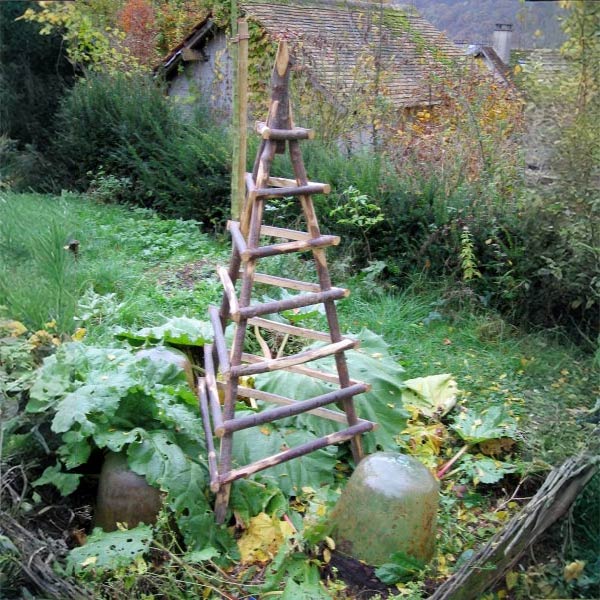 Pyramide non écorcée pour plante grimpante