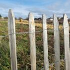 Ganivelle en écart de 8 cm