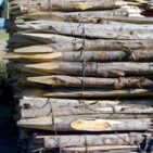 Piquets chataignier : piquets ronds non écorcés 8-9 cm en bois de chataignier