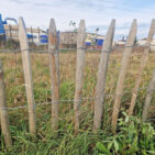 Ganivelle en écart de 8 cm