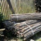 Tuteurs non écorcés diamètre 3-5 cm en châtaignier